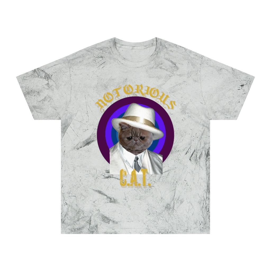 Notorious CAT Unisex Color Blast T-Shirt