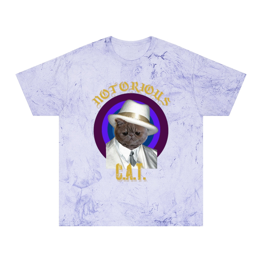 Notorious CAT Unisex Color Blast T-Shirt